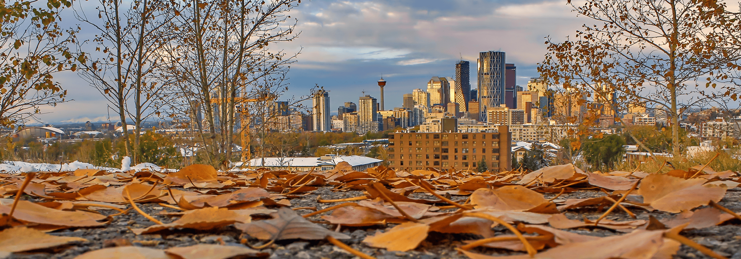 Calgary Skyline